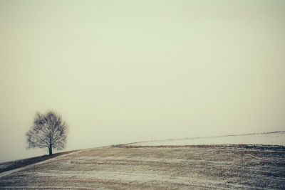 Scenic view of field against clear sky during winter