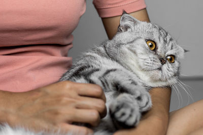 Midsection of person holding cat