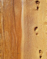 Close-up of footprints on sand