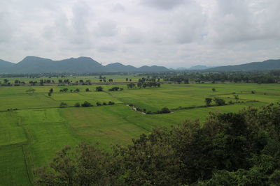 Scenic view of agricultural field against sky