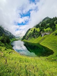 Scenic view of lake by trees against sky