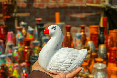 Close-up of hand against bird against blurred background