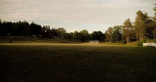 Trees on field against sky