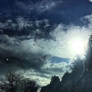 Low angle view of trees against cloudy sky