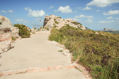 Footpath amidst plants on road against sky