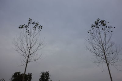 Low angle view of silhouette bare tree against sky