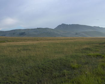 Grassy field by mountains against sky