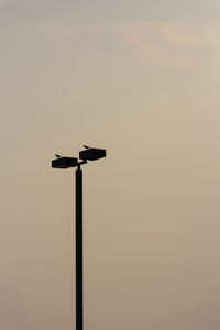 Low angle view of silhouette bird perching on pole against sky