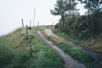 Dirt road amidst plants and trees against sky