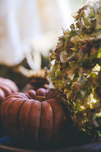 Close-up of vegetables