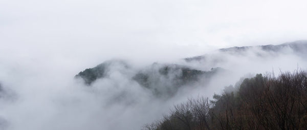 Low angle view of trees and mountains against sky