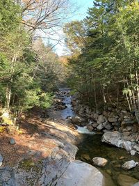 Stream flowing through rocks in forest