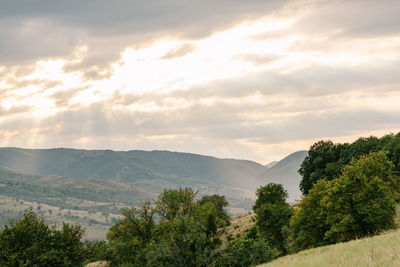 Scenic view of trees and mountains against sky