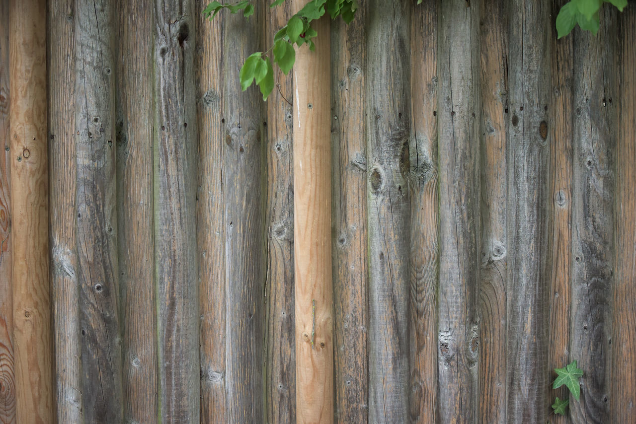 FULL FRAME OF WOODEN WALL