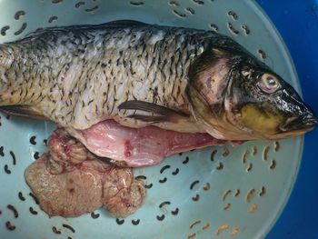 High angle view of fish in plate