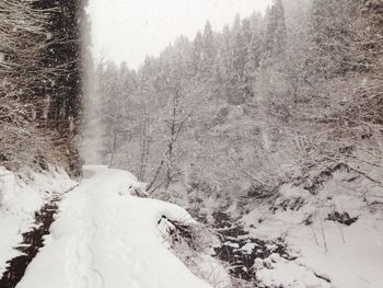 Scenic view of snow covered landscape