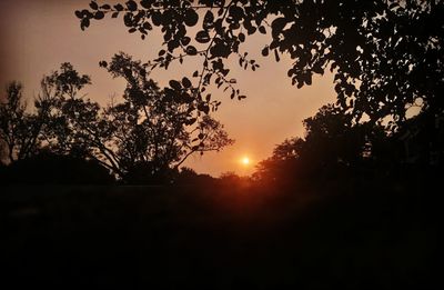 Silhouette trees against sky during sunset