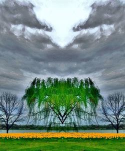 Bare trees on field against cloudy sky