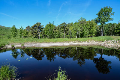 Reflection of trees in lake against sky