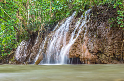 Scenic view of waterfall in forest