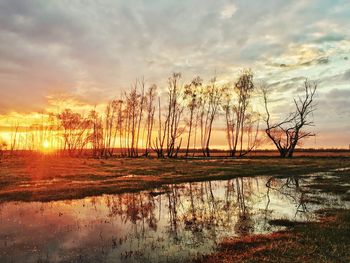 Reflection of trees in lake during sunset