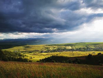 Scenic view of agricultural field against sky