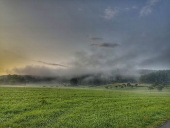 Scenic view of field against sky