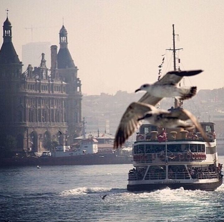 water, building exterior, waterfront, architecture, built structure, bird, sea, nautical vessel, transportation, flying, animals in the wild, mode of transport, animal themes, travel, seagull, clear sky, city, river, sky, travel destinations