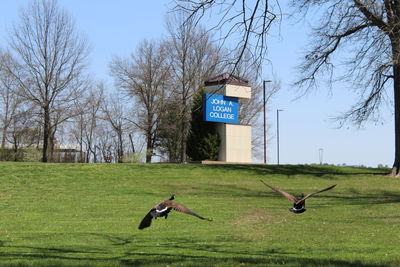 Information sign on a field