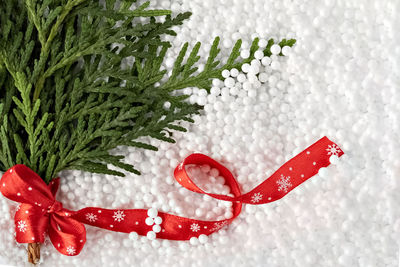 High angle view of christmas decorations on plant