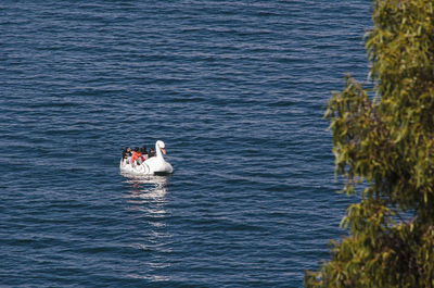 People on swan boat in sea
