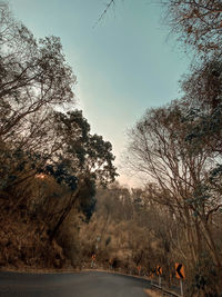 Road amidst trees against sky