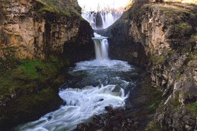Scenic view of waterfall in forest