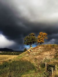 sky