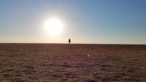 Man riding horse on field against sky