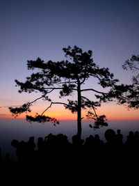 Silhouette trees growing against dramatic sky during sunset