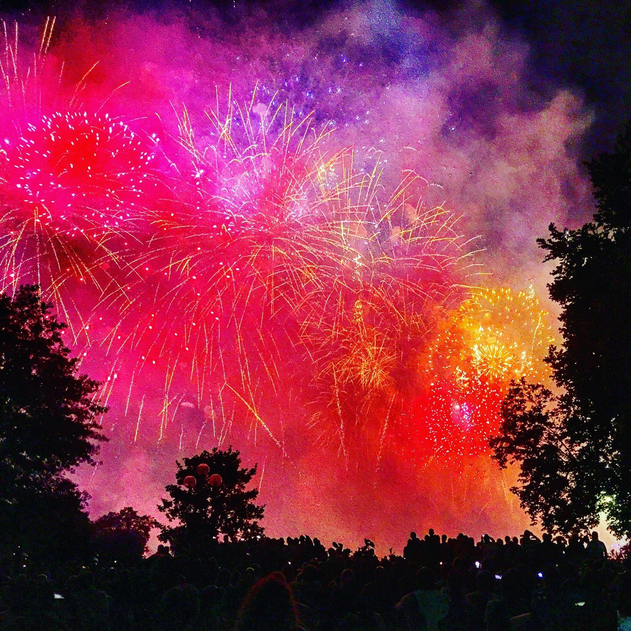 night, celebration, low angle view, firework display, exploding, no people, multi colored, tree, sky, outdoors, growth, beauty in nature, illuminated, nature
