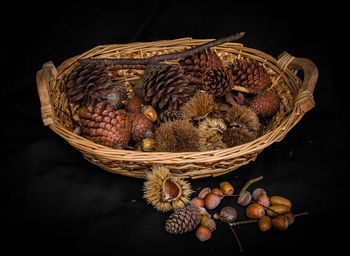 Close-up of birds in basket