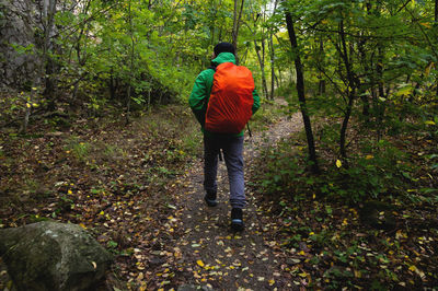 A tourist with a red backpack walks along a mountain path in the forest in spring or autumn
