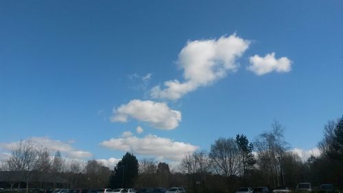 View of trees against blue sky