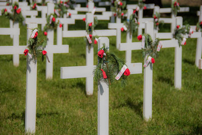 View of cemetery against the wall