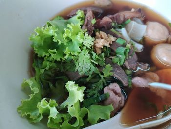 Close-up of food served in plate