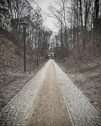 Empty road amidst trees in forest