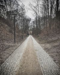 Empty road amidst trees in forest