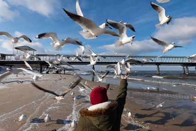 Seagulls flying over sea against sky