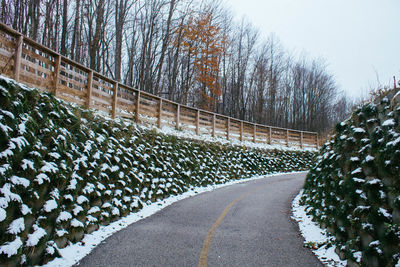 Road amidst trees against sky during winter