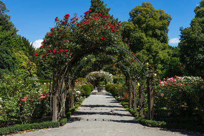 Covered footpath in park