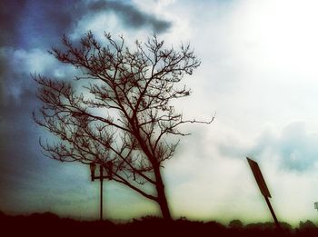 Low angle view of tree against dramatic sky