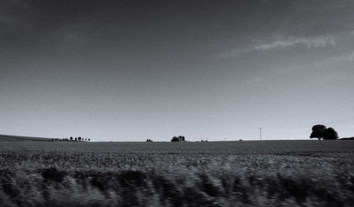 Scenic view of field against clear sky