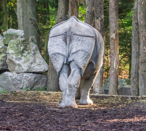 View of elephant sculpture